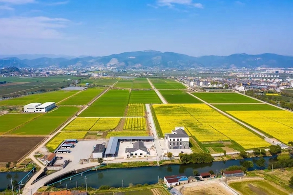 高標(biāo)準(zhǔn)農(nóng)田典型案例集錦丨“豐景”，在希望的田野