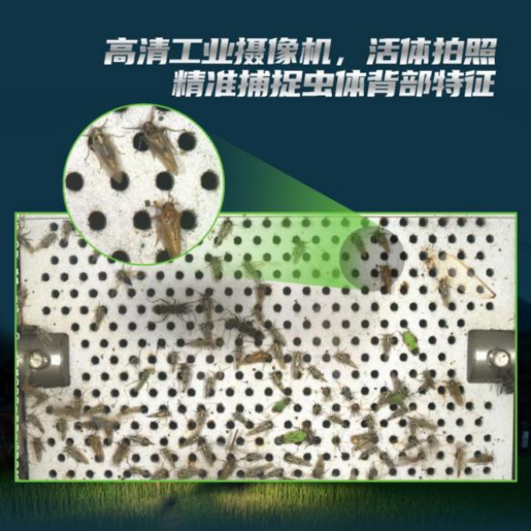全面升級！托普云農(nóng)這樣防治“作物殺手”